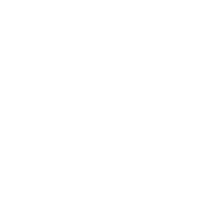 DJ CMO ist zertifiziertes Mitglied der DJ Allianz e.V. - weißes Logo auf transparentem Hintergrund